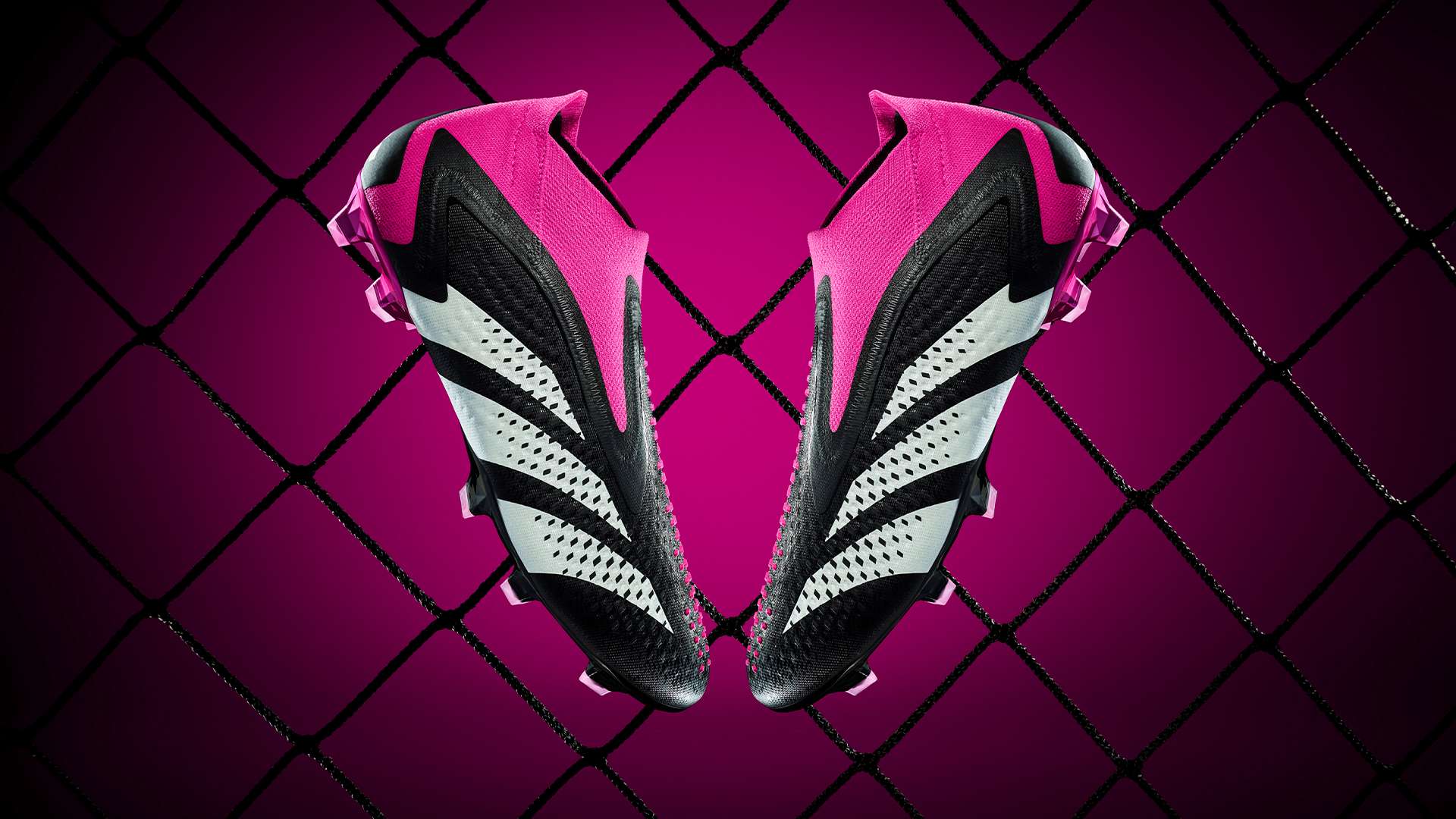 的成功离不 的成功离不